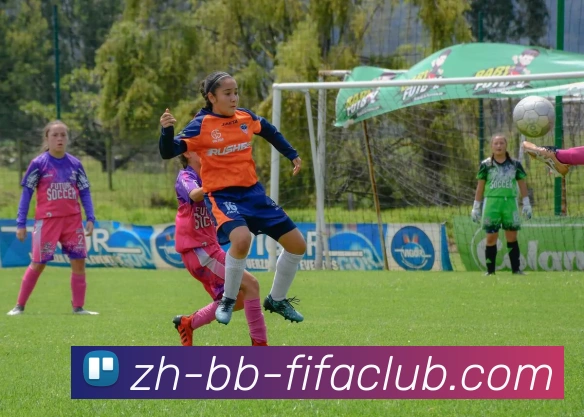 世界杯直播品牌故事