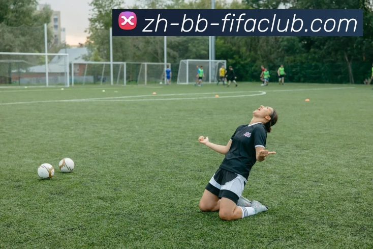 世界杯直播服务体系